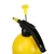 Import 2L plastic garden pump sprayer garden tool water bottle pressure hand sprayer from China