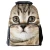 Import 3d animal pattern printing boys school bag in pakistan customized cartoon backpack students oem school bag from China