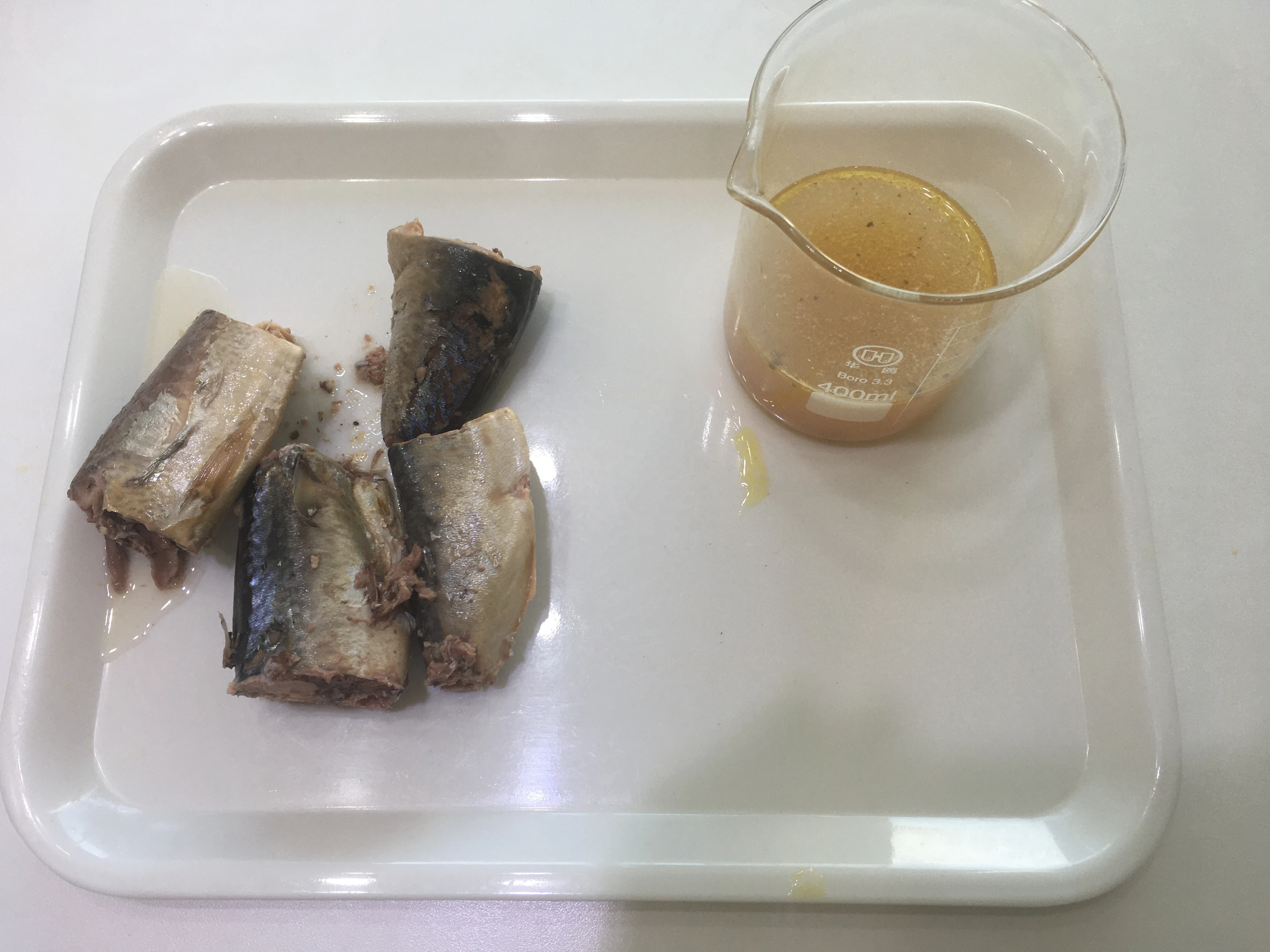 425g canned mackerel in brine to CHILE