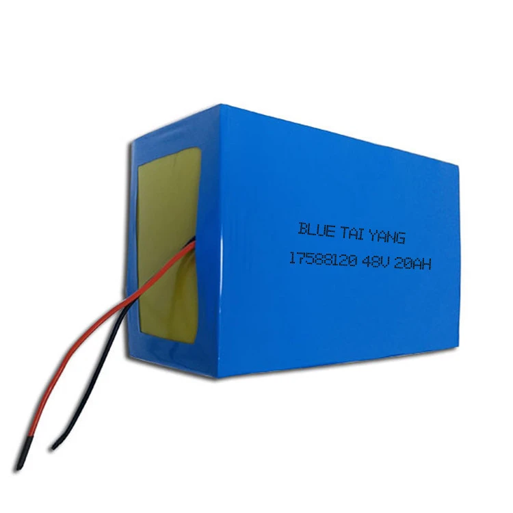 48V 20AH 18650 lithium ion battery pack for e bike storage system electric vehicle Deep Cycle Lifepo4 Battery Pack 12v 100ah Lit