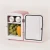 Import 4L promotional cooler mini refrigerator milk compact fridge from China