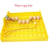 70 pcs Newest model egg tray for quail eggs Multi-function egg tray
