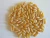 Import AAA Grade Quality Durum wheat from South Africa