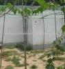 Agricultural Melon Support Mesh Nets