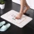 Import Amazon Selling Egofine Absorbent Bath Mat Water Absorbent Mat Diatomaceous Mat from China