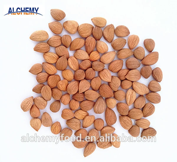 apricot seeds for sale