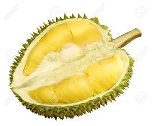 Artificial Durian Tree Fresh Fruit Big Tree for hotel Decoration