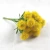 Import Artificial flowers dandelion Plastic Flower Wedding decorations artificial plants from China