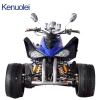 Atvs Four Wheelers Quad Four Wheel Motorcycle Stroke Water Cooled Atv 250cc