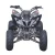 Import Automatic Racing Atv for Sale from China