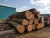 Import beech logs / swiss quality / FSC from Switzerland