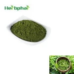 Best quality 95% EGCG 100% Water Soluble Instant Green Tea Extract/Green tea powder