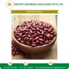 Best Quality Wholesale Red Kidney Beans Price