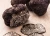 Import Black Mushroom Wholesale Healthy Wild Mushroom Truffle for Sale from United Kingdom