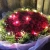 Import Button Battery Copper Wire 1M 2M Xmas Mini String Light Decoration For Cake Flower Decor Lights  Creative Gift Motif Ornament from China