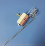 Capillary Thermostats
