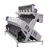 Import CCD intelligent 5 Chutes beans crops White Sesame Color Sorter color sorting machine from China