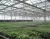 Import Cheap Price 2 layer transparent board greenhouse film for vegetables seeds from China