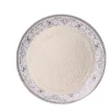 China Exporters New Crop Organic AD Dehydrated Garlic powder manufacturers