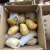 Import China fresh potato from China