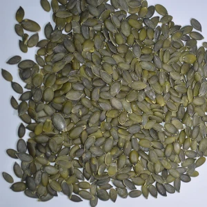 China Manufacture GWS Pumpkin Seeds Price