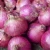 Import Chinese lowest price red fresh onion from China
