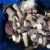 Import Chinese Yunnan wild frozen IQF porcini mushroom ,boletus edulis,boleto edulis from China