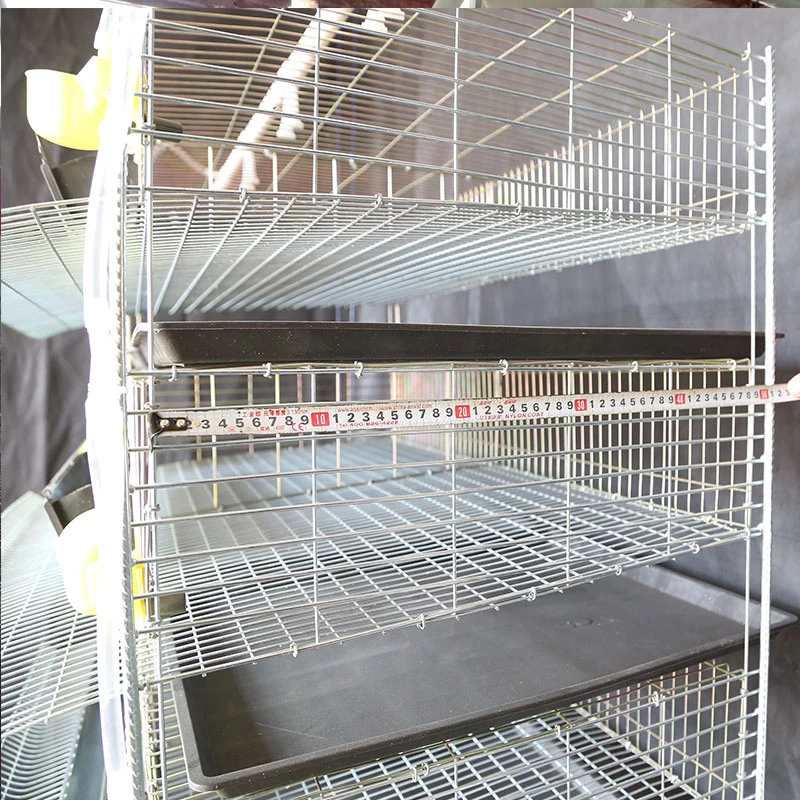 commercial battery wire cage quail malaysia