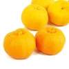 Competitive Price Organic Fresh Mandarin Fruit