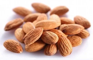 Competitive Raw Bitter Almond Prices