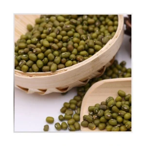 Conventional Natural Organic Mung Beans Green