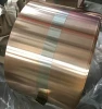 Copper Beryllium Strip C17200 QBe2