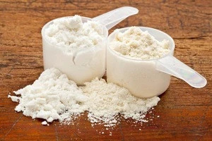 Cow Whey Powder Cattle Loose Lactose 65% Fat Content 1,5% Protein 11% Shelf Life 18 Months