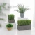 Import Crafts Decoration Artificial Plants Bonsai Small Tree Pot Plants Flowers Potted Ornaments For Home Decoration  desktop Hotel from China