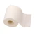 Import Custom 4ply Soft Toilet Tissue Roll Toilet Paper Flushable Tolit Paper from China