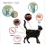Import Custom 8 Month Protection Pet Anti Eliminating Flea And Tick Cat Collar For Cats from China