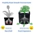 Import Custom gallon nonwoven fabric potato planter reusabl grow bag from China