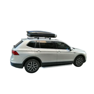 Custom High Quality Large Capacity ABS Plastic Roof Cargo Box For Car