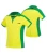 Import Custom Sports T Shirt Cricket Uniform from Pakistan