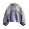 Custom Streetwear 100% Cotton Mens Pullover Logo Hoodies and Sweatshirts by Dec OEM with Puff Printing