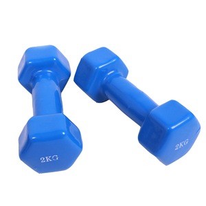 Custom Vinyl Dumbbells Set Coated Hand Weights for Strength Training indoor sports products