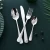 Import Dishwasher Safe Fork Spoon Knife Set PVD Coating Stainless Steel Cutlery Flatware Set 24 pcs from China