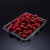 Import Disposable eco-friendly supermarket PET PVC PP blister plastic fruit tray for meat food fruit and vegetables from China