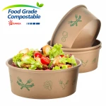 Disposable printed take away salad paper bowls