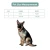 Import Dog Door With Magnetic Flip Locking Panel Pet Gate Pet Door For Medium And Large Dog from China