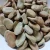 Import Dried broad bean for sale from Thailand