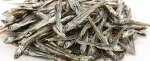 Dried, Frozen, Salted Anchovy Fish, shrimps, seafood