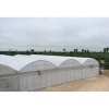 drip irrigation boom and rolling bench and hydroponics grow table installed agriculture greenhouse