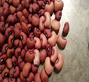 Dry and frozen Cowpea Vigna Beans Cut With 2-3cm