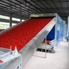 DWT belt feeding series fruit and vegetable belt drying machine, food industry process drying machine for dehydration